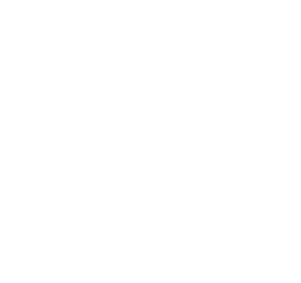 ritter website logos - white vertical