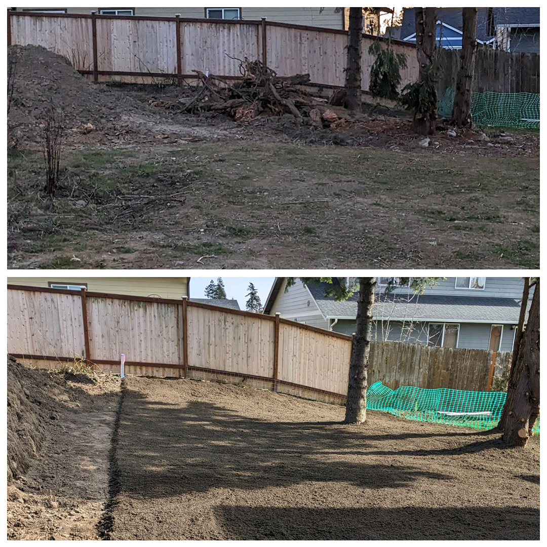 Ritter Dirt backyard cleanup and lawn prep